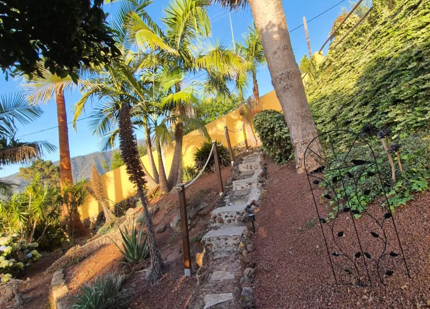 Holiday home Finca Casa Los Dragos La Orotava Spain